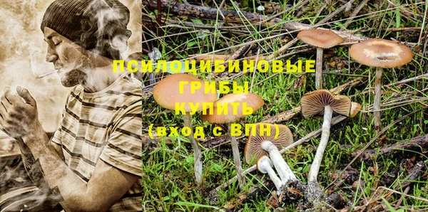 мяу мяу кристалл Новодвинск